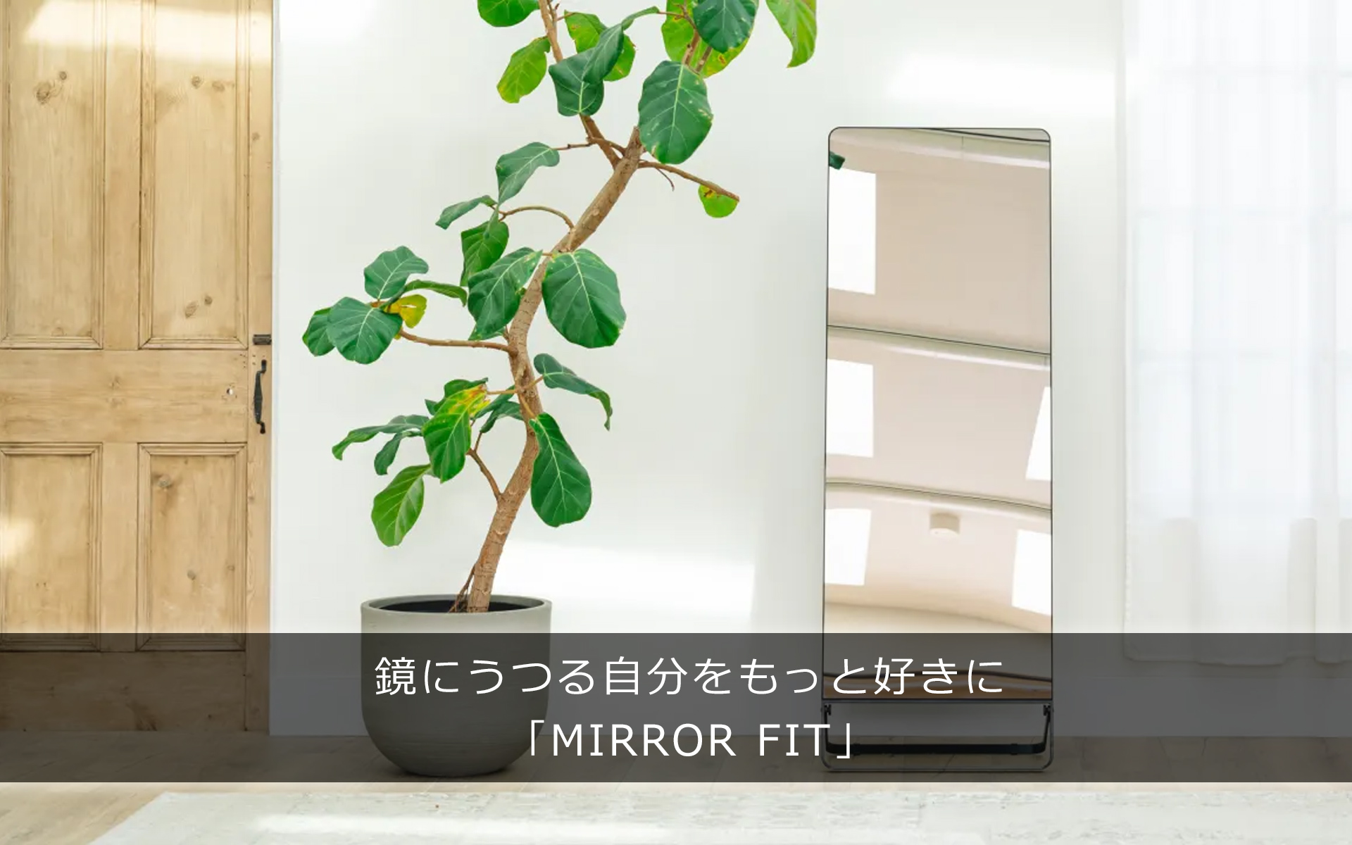 ミラーフィット